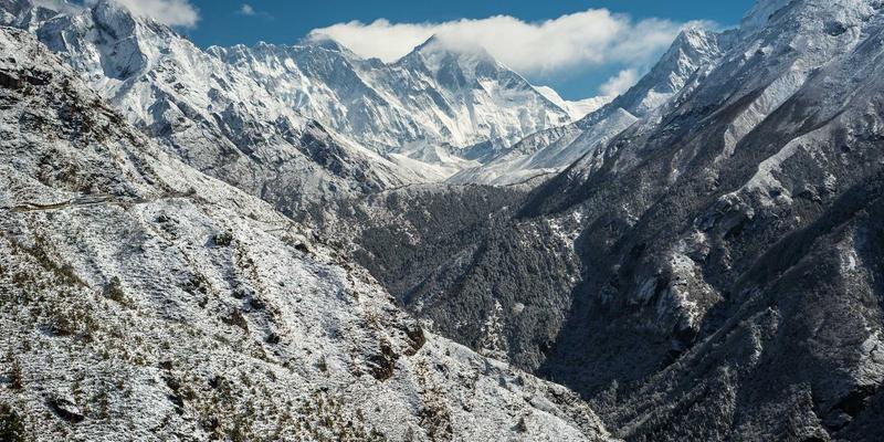 从宠物健康到体面告别：如何为爱宠选择狗粮与善终服务