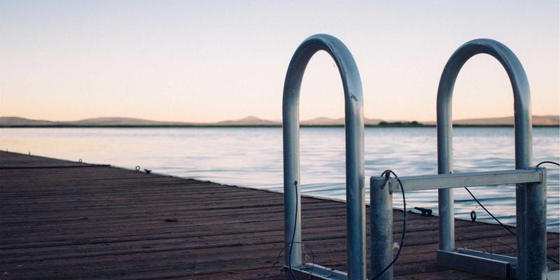 从猫咪行为学看猫爬架设计：垂直空间如何成为缓解压力的关键宠物用品