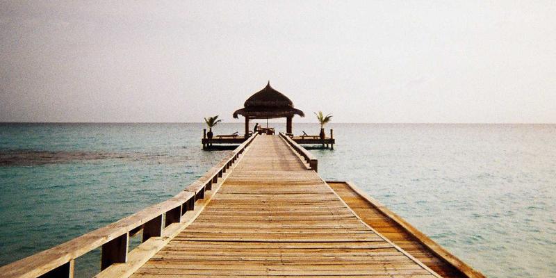 从猫粮狗粮到环保清洁：守护宠物健康与地球环境的双重选择