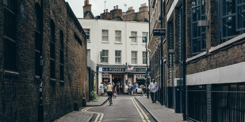 多宠物家庭如何科学分配资源？避免争抢食具、睡窝与主人关注的实用指南