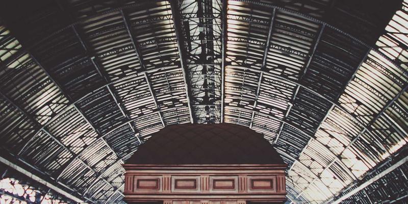 宠物健康与寄养全指南：如何为爱宠选择最佳狗儿带与托管方案