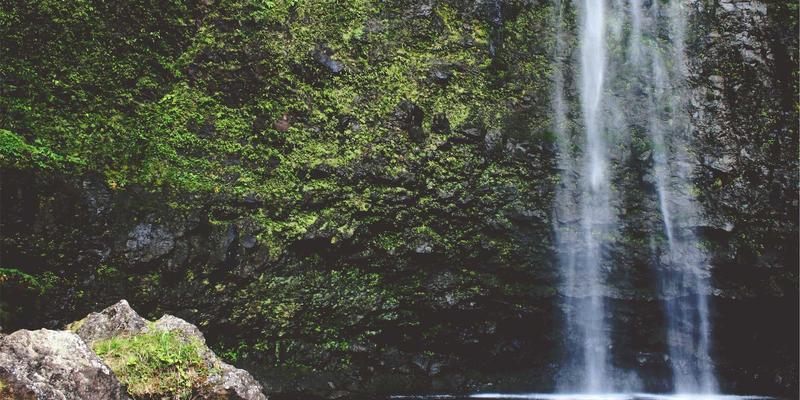 宠物健康从科学喂养开始：如何为爱宠选择优质狗粮与用品