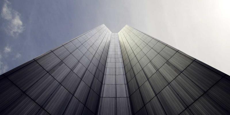 宠物健康全攻略：从科学选猫粮到专业美容的完整指南