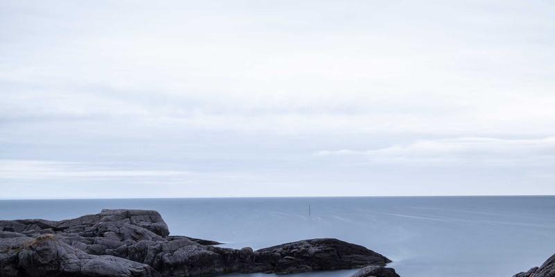 宠物出行全攻略：航空托运、自驾安全与酒店入住，守护爱宠健康每一步