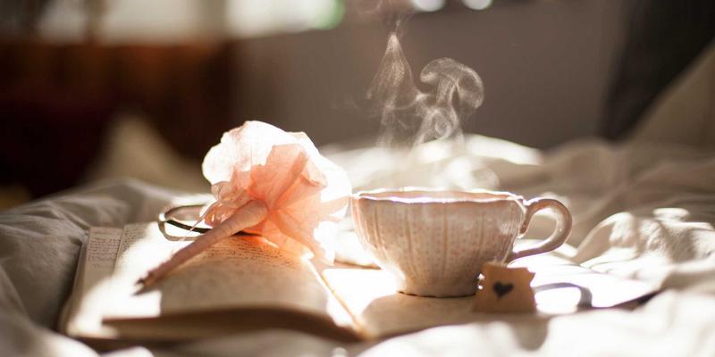 宠物基因检测：揭秘品种遗传病与性格特质，科学养育第一步