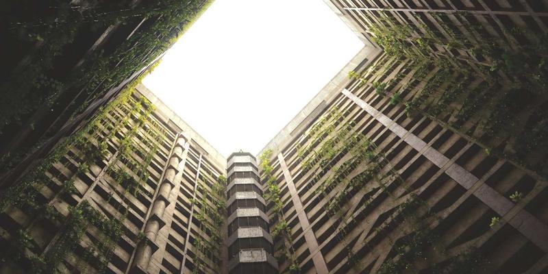 宠物寄养与家庭必备：仓鼠兔子丰容玩具DIY教程，提升宠物用品利用率与幸福感