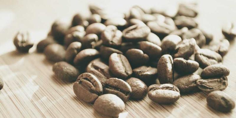 宠物寄养与狗儿带选购指南：守护宠物健康的双重保障