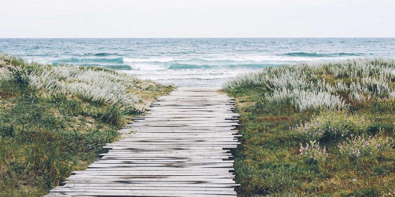 宠物急救包必备物品清单：从止血带到解毒剂，守护宠物健康