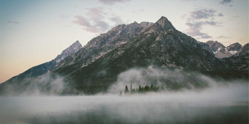 宠物旅行必备用品清单：从狗粮到狗儿带，安全出行与宠物寄养全攻略
