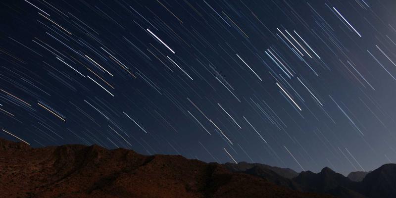 宠物智能饮水机测评：活水循环与过滤系统如何守护爱宠饮水健康，兼谈狗粮选择与日常狗儿带护理