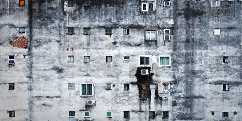 宠物用品51:聚焦宠物健康,从科学选猫粮到专业宠物服务全解析