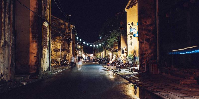 宠物用品55：科学选择宠物美容与狗粮的完整指南