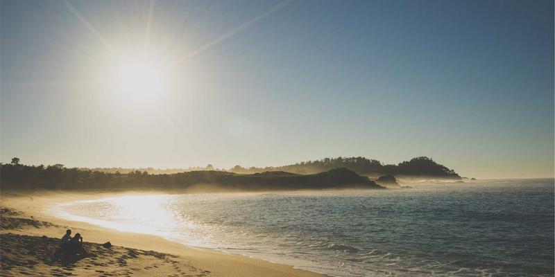 宠物用品91：从狗儿带到猫粮选择，打造科学养宠全攻略