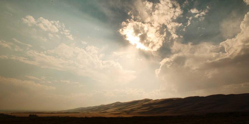 宠物用品99：一站式解决方案，守护宠物健康与幸福