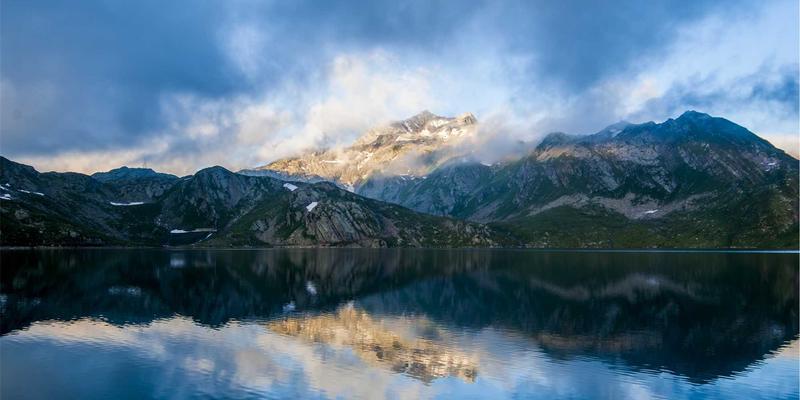 宠物用品使用指南：从狗儿带到宠物寄养，打造科学养宠新体验