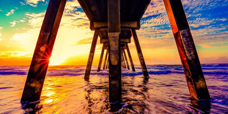 宠物用品全攻略：从猫粮狗粮到宠物寄养，为爱宠打造健康生活