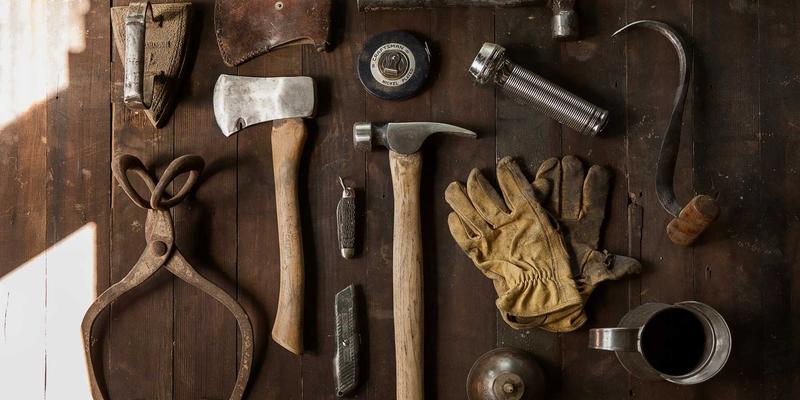 宠物用品全攻略：从猫粮选择到安心寄养，守护爱宠健康快乐