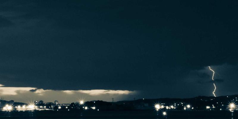 宠物益生菌的菌株活性与耐胃酸能力：选对产品才能真有效