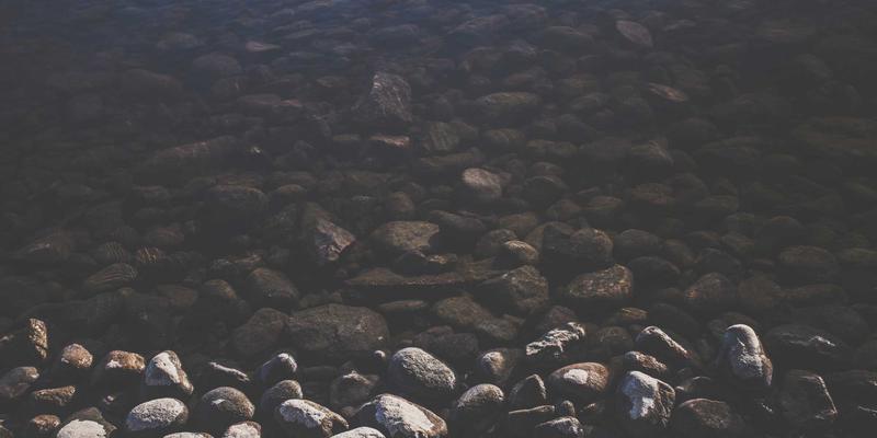 宠物美容进阶指南：狗儿带必备的口腔护理全攻略（牙刷/牙膏/漱口水/洁牙凝胶深度评测）