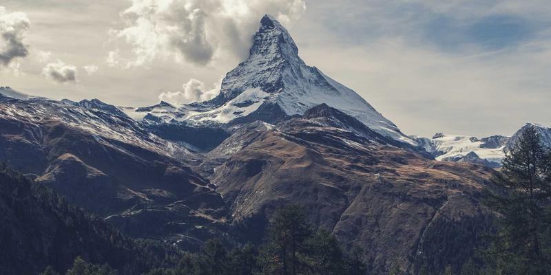 宠物行为训练指南：告别狗狗分离焦虑与猫咪乱抓家具，从优质狗粮到专业狗儿带的全面解决方案