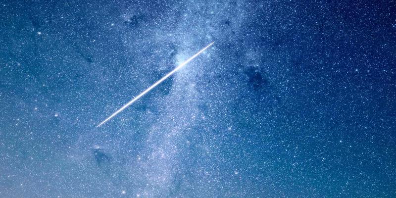 宠物除臭喷雾的酶解原理与安全成分表：科学呵护宠物健康