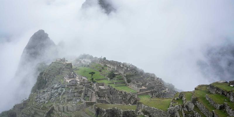 小型犬磨牙玩具选购全指南：专业宠物美容师推荐的护齿秘籍