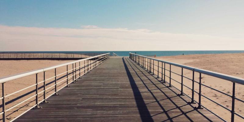 巧用狗粮与环保材料DIY宠物用品：为仓鼠兔子打造低成本心理健康乐园