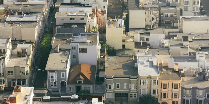 异宠生态缸打造指南：告别猫粮与宠物寄养，为蜥蜴蜘蛛营造完美家园