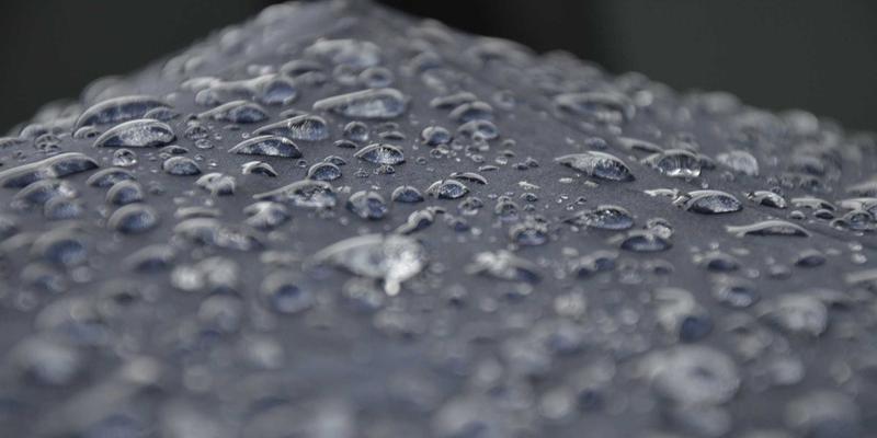 异宠饲养全攻略：从蜥蜴守宫环境搭建到日常管理，你的宠物用品清单还缺什么？