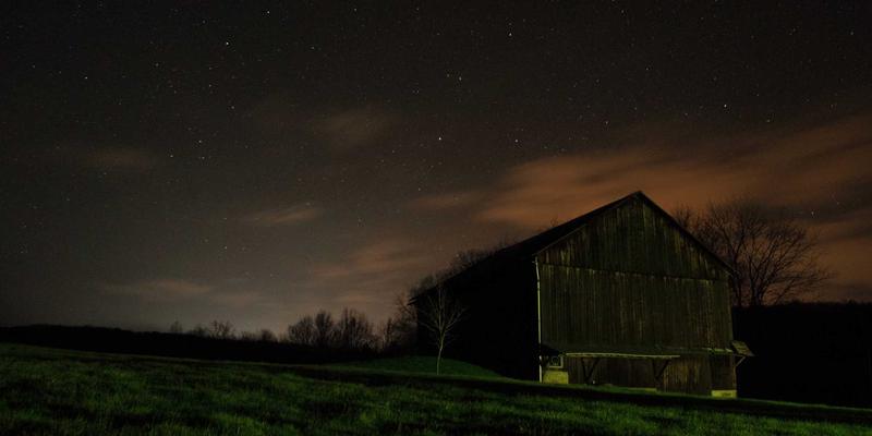 智能宠物喂食器：出差族的喂养救星，从定时定量到远程互动的宠物服务革命