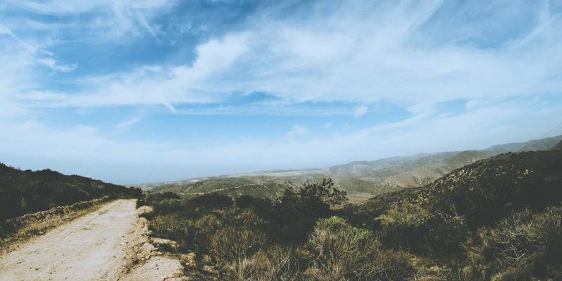 犬用牙刷牙膏的摩擦剂颗粒大小选择：宠物寄养与健康美容的关键