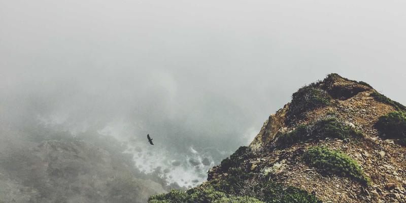 狗儿带与宠物健康：如何通过专业宠物用品守护爱宠一生