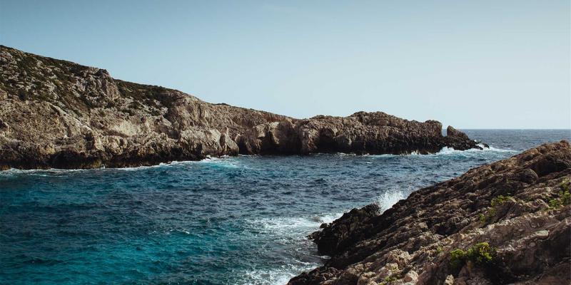 狗儿带与猫粮选购指南:宠物用品42的智慧养宠之道