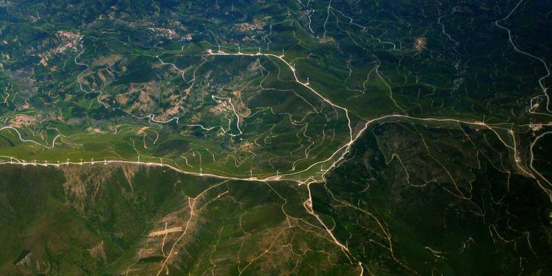 狗儿带宠物健康指南：牙刷、凝胶、漱口水与洁牙零食深度测评