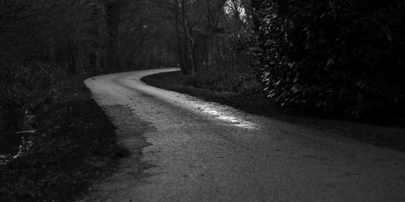 狗粮选购与宠物寄养全攻略:宠物用品79为您打造科学养宠方案