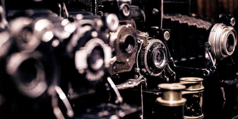 猫咪毛发打结怎么办？宠物健康专家教你用开结梳、鱼油补充与日常梳理技巧