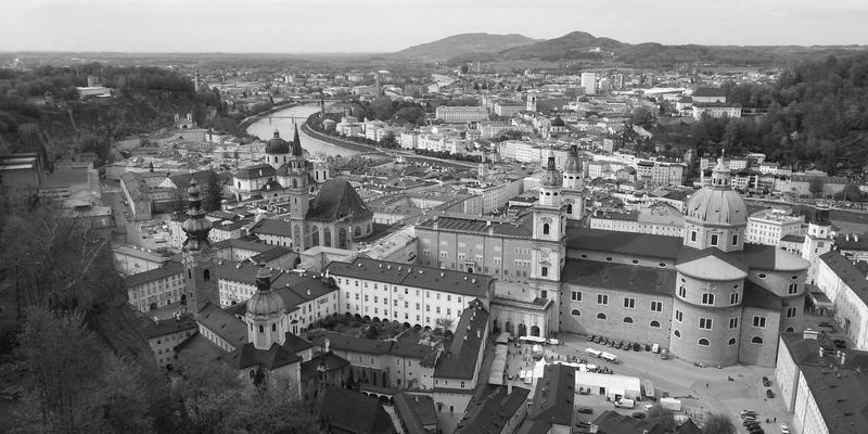 猫咪自嗨玩具深度评测：电池续航与噪音控制如何影响宠物寄养体验