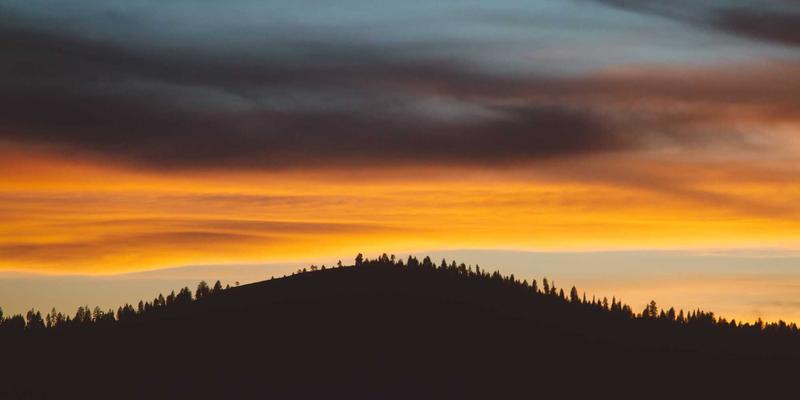 猫咪饮水机选购指南：科学搭配猫粮与寄养方案，守护宠物泌尿健康