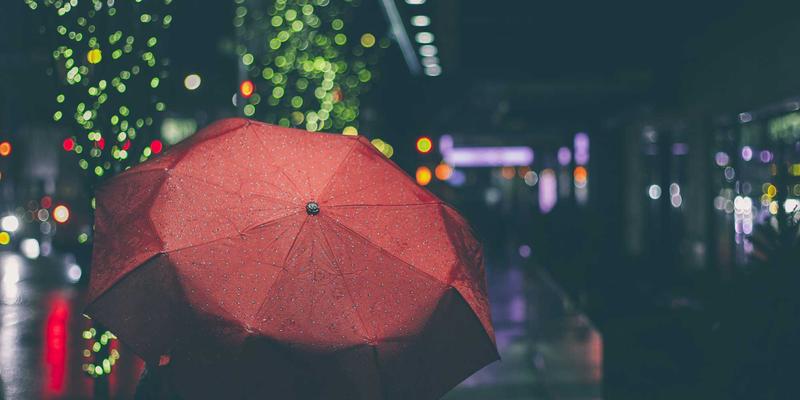 猫粮狗粮科学选择指南与宠物寄养注意事项