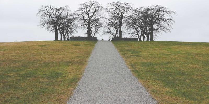 环保型猫砂深度对比：豆腐砂、玉米砂与松木砂，如何为爱宠选择最健康的选择？
