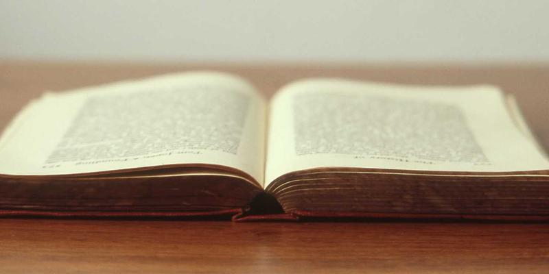 科学养宠指南:猫粮选购与宠物美容用品深度评测