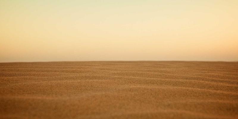 老年犬关节护理全攻略：从记忆棉床、缓坡楼梯到宠物保健品的科学搭配