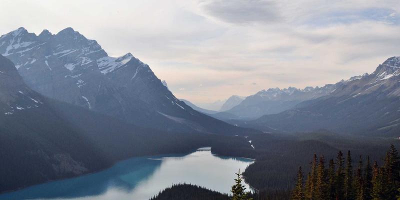超越猫狗：专业宠物服务如何为异宠打造完美生态环境